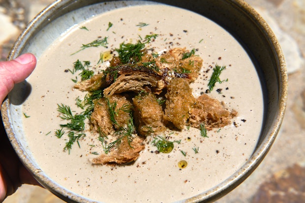 cream of mushroom soup in a bowl with croutons and herbs