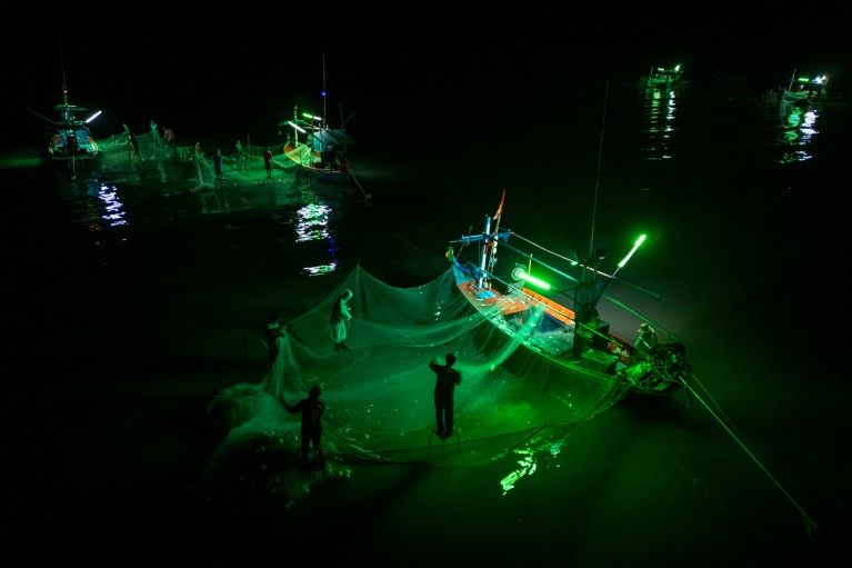 Fishers sort out a large catch of sardines from nets draping off small boats under the eerie glow from a green light at night