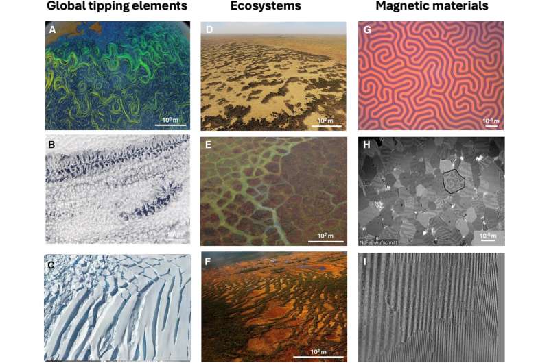 Ecosystem collapse patterns mirror magnetic material behavior under stress