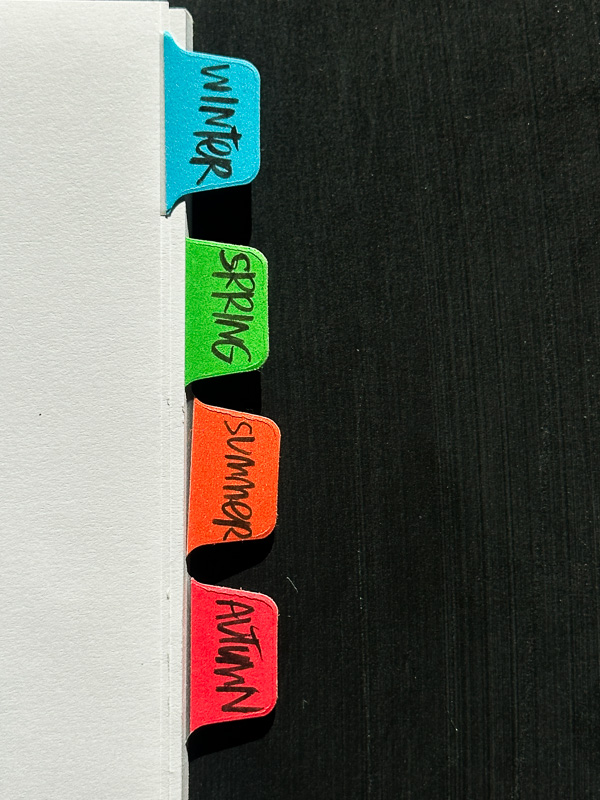 My Everyday Life Week 04 of 2026- Tracy Benjamin of Shutterbean.com