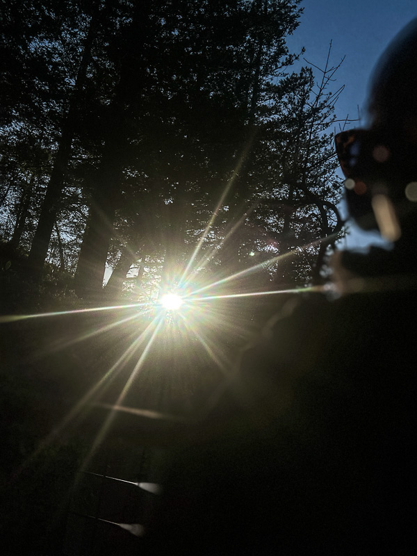 My Everyday Life Week 04 of 2026- Tracy Benjamin of Shutterbean.com