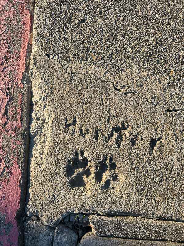 My Everyday Life Week 04 of 2026- Tracy Benjamin of Shutterbean.com