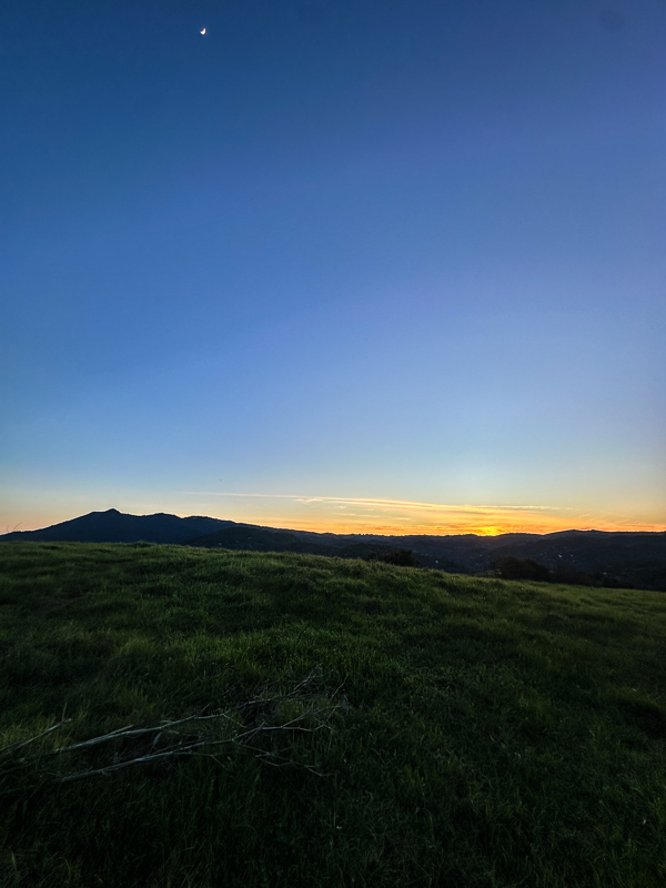 My Everyday Life Week 04 of 2026- Tracy Benjamin of Shutterbean.com