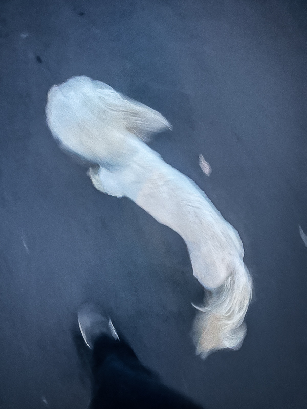 My Everyday Life Week 04 of 2026- Tracy Benjamin of Shutterbean.com