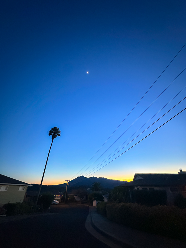 My Everyday Life Week 04 of 2026- Tracy Benjamin of Shutterbean.com