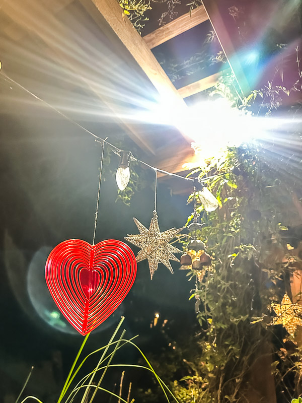 My Everyday Life Week 04 of 2026- Tracy Benjamin of Shutterbean.com