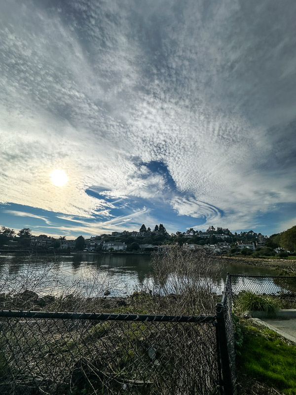 My Everyday Life Week 04 of 2026- Tracy Benjamin of Shutterbean.com