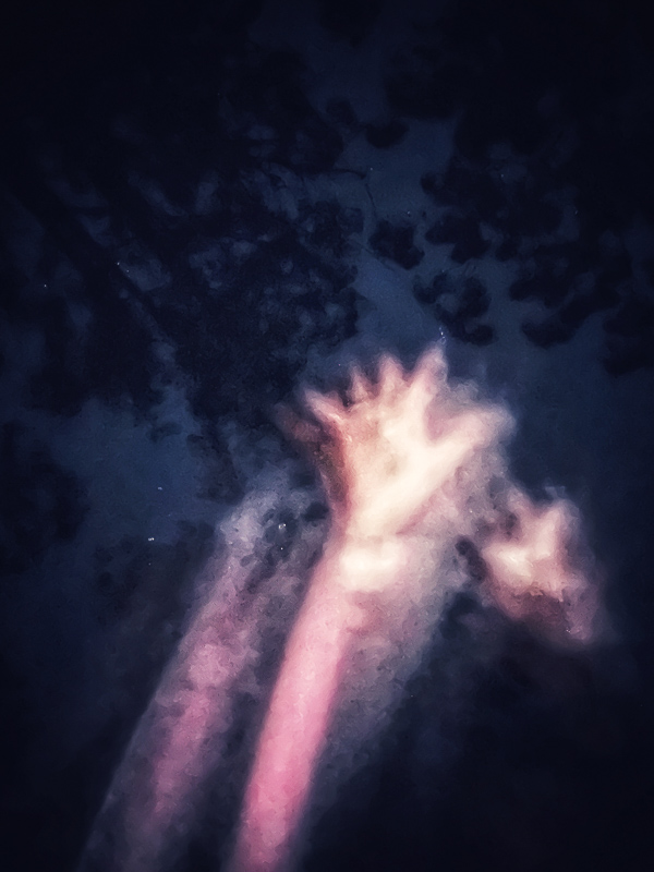 My Everyday Life Week 04 of 2026- Tracy Benjamin of Shutterbean.com